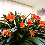 Accommodatie bij particulieren Tereza